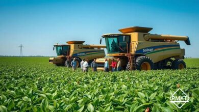 STF suspende julgamento sobre moratória da soja e impactos em Mato Grosso
